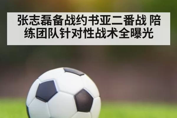 张志磊备战约书亚二番战 陪练团队针对性战术全曝光